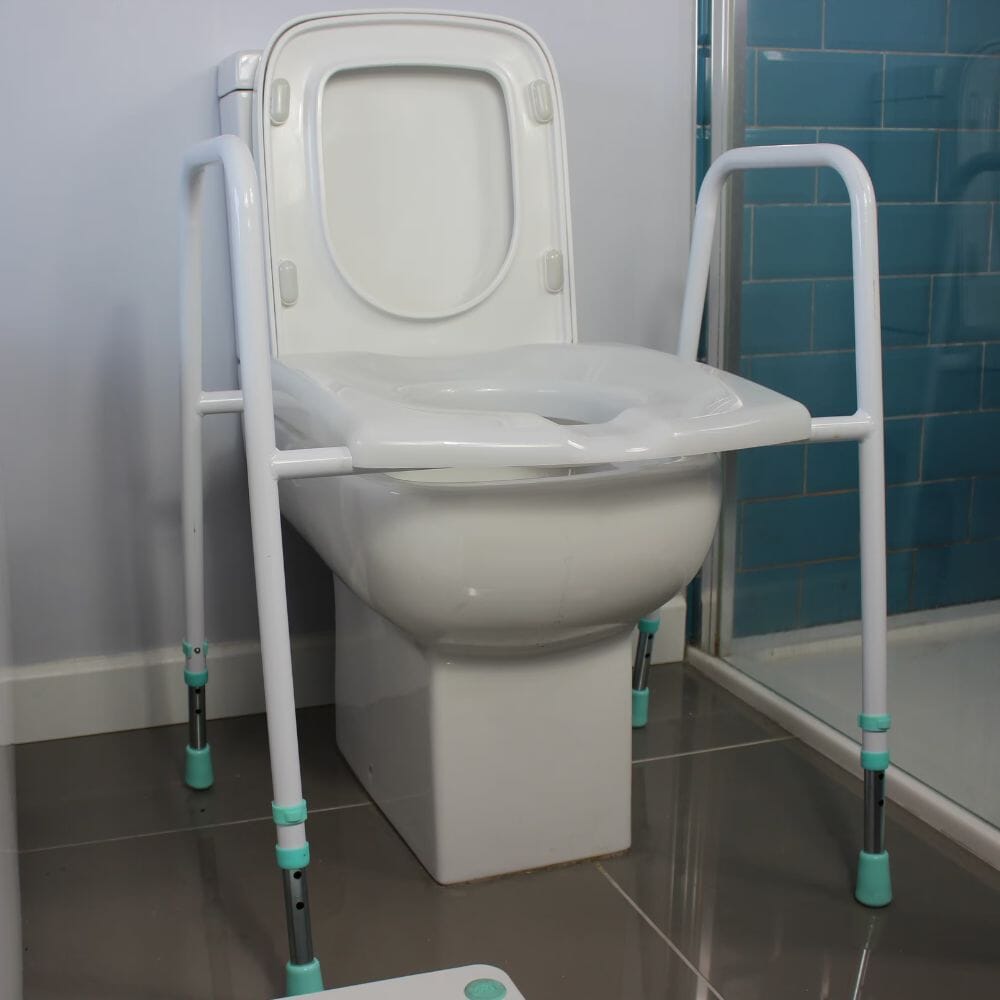 prima classic toilet frame and seat close up