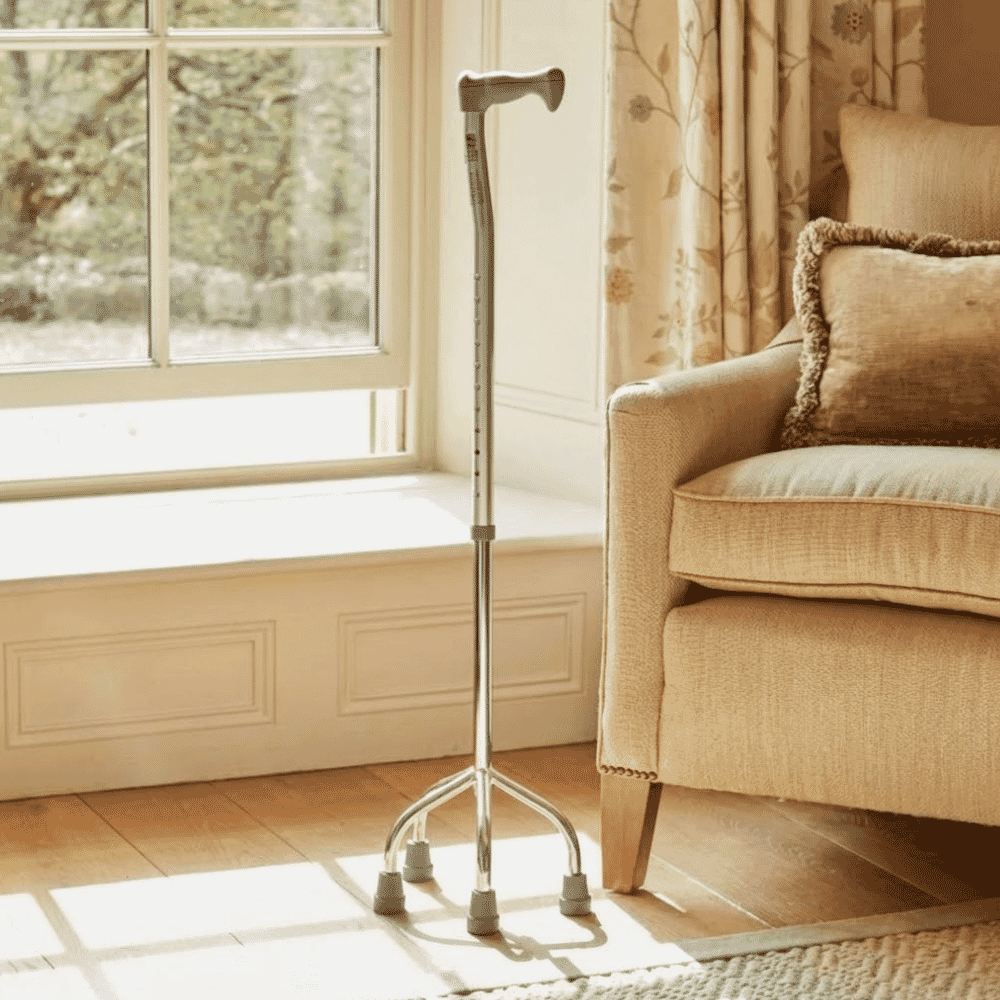 quad base walking stick lifestyle