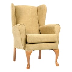 Queen Anne Fireside Chair - Pale Gold