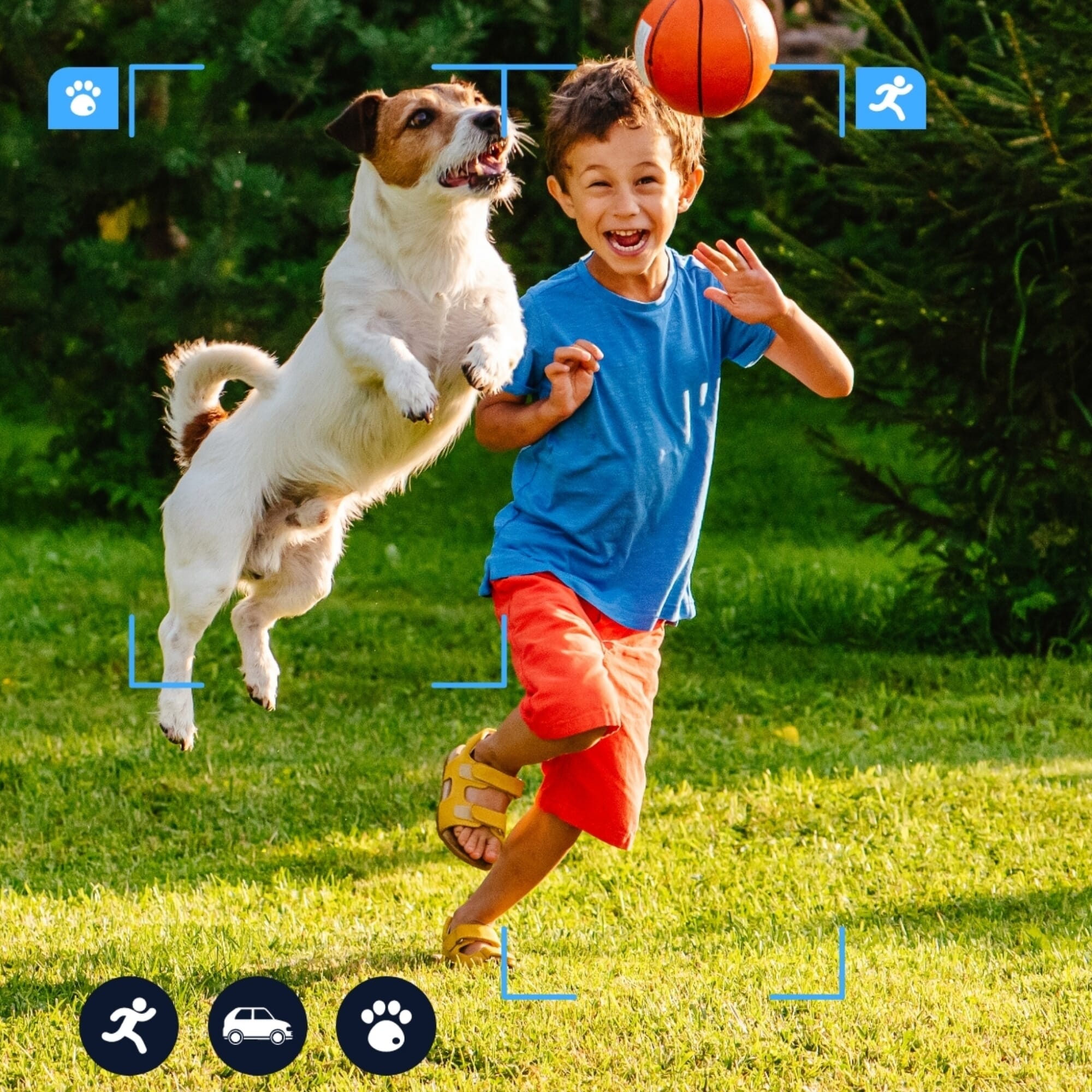 reolink 4k 5g 2 4ghz solar outdoor security camera smart detect