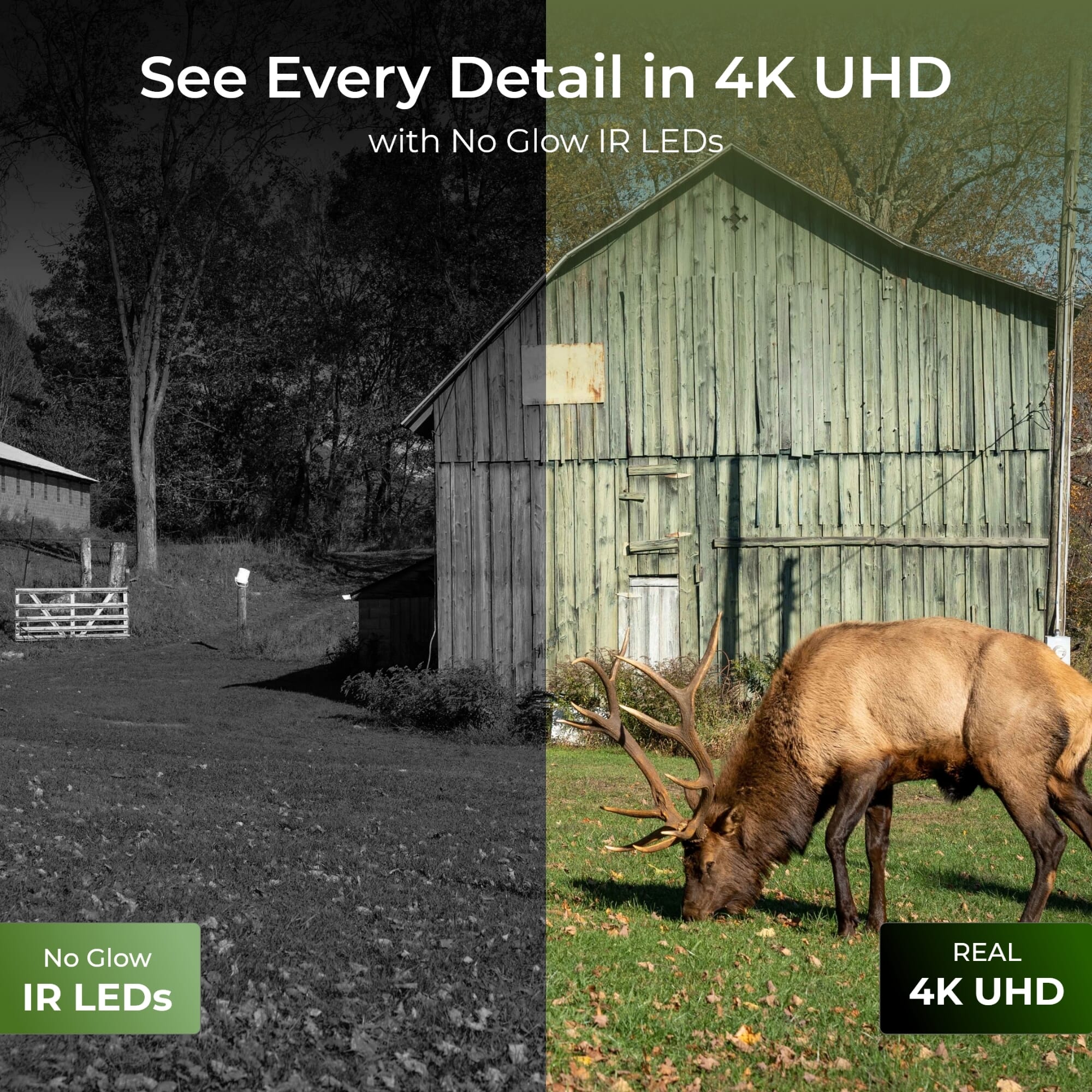 reolink ranger 4k 4g lte solar outdoor security camera see evry detail