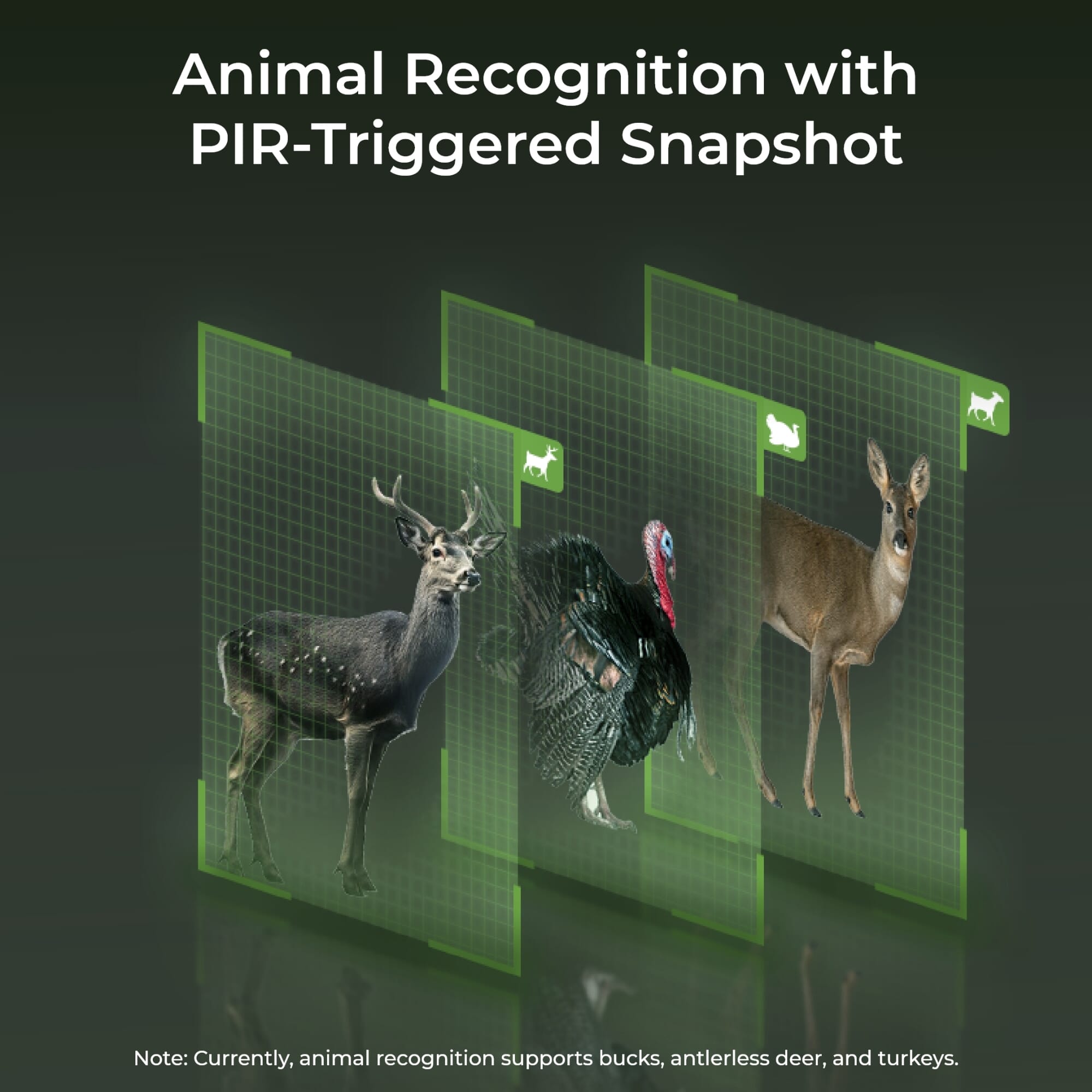 reolink ranger 4k 4g lte solar outdoor security camera smart detect