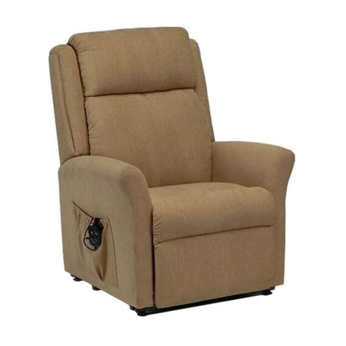 rise recline chair with dual motor mushroom