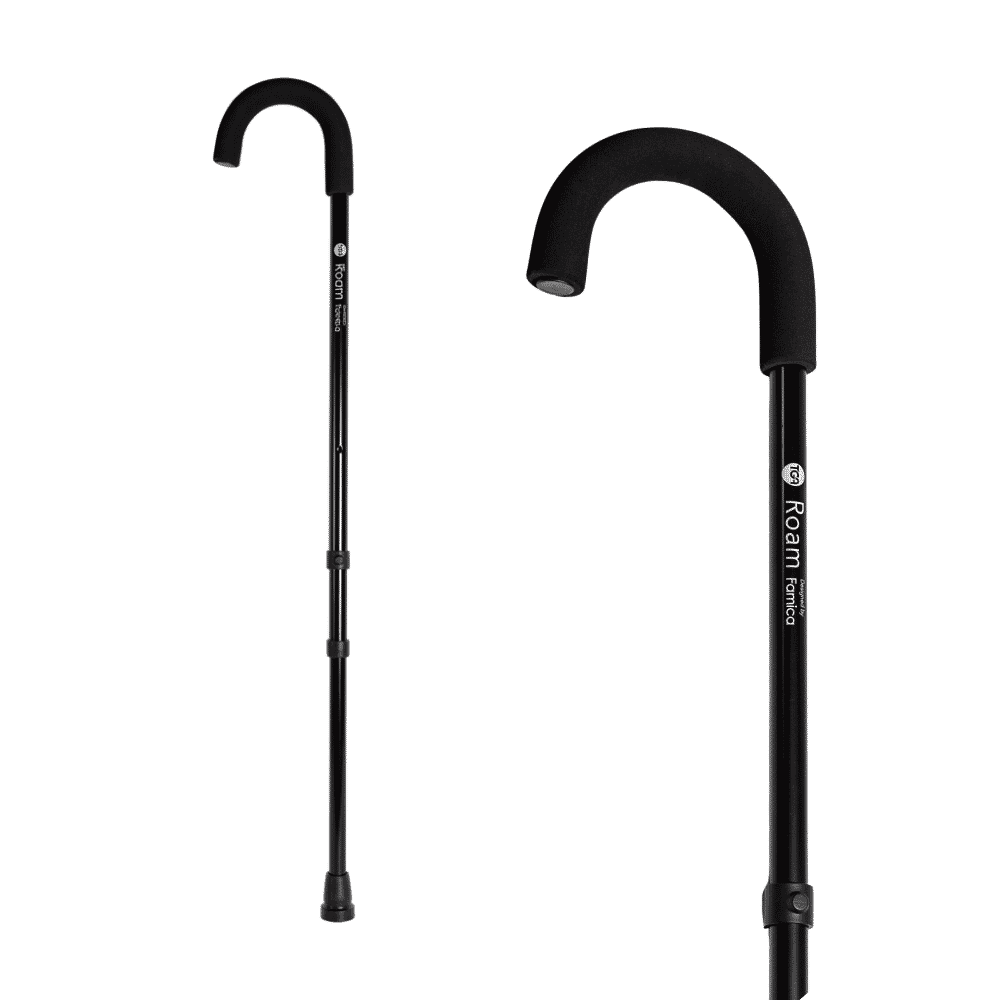 roam walking stick black