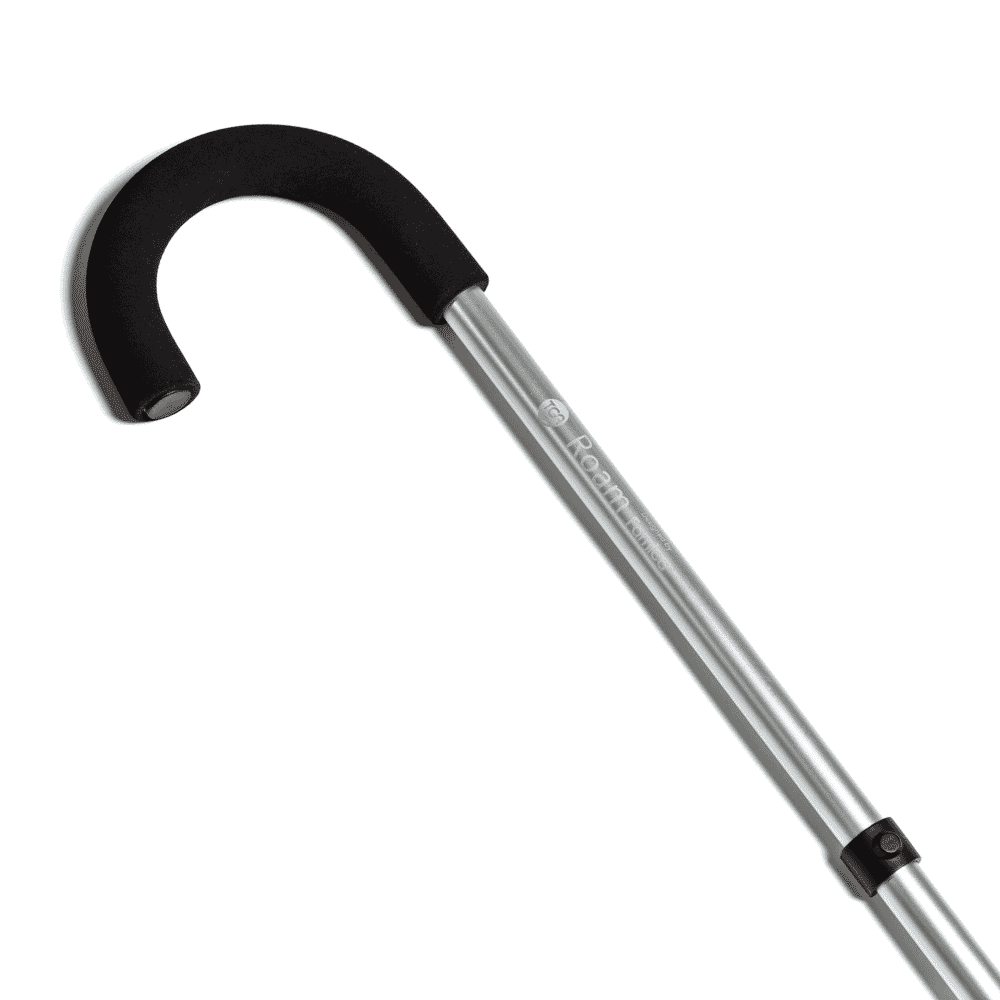 roam walking stick silver handle