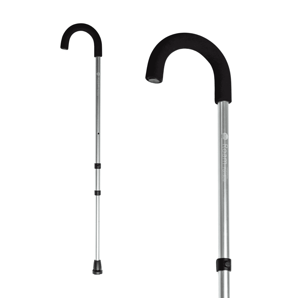 roam walking stick silver