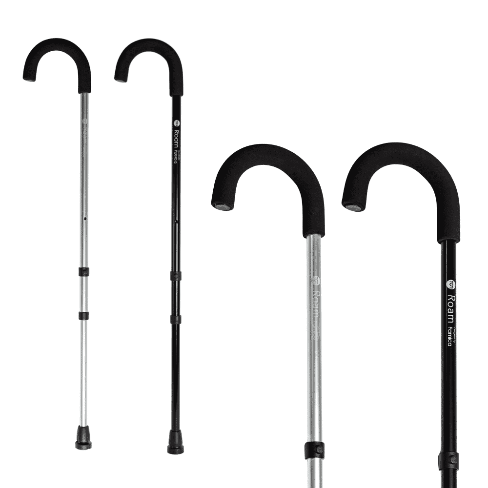 Roam Walking Stick