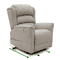 Sanford Wall Hugger Dual Motor Riser Recliner Chair