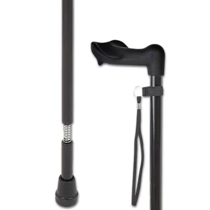 shock absorb walking stick right