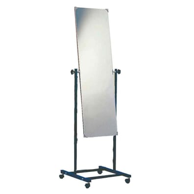 Single Section Posture Mirror