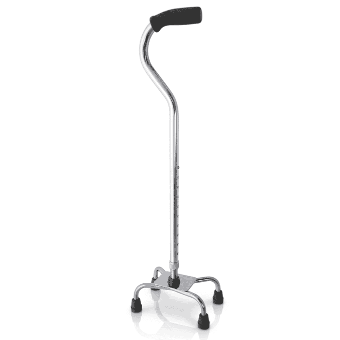 small tetrapod walking stick