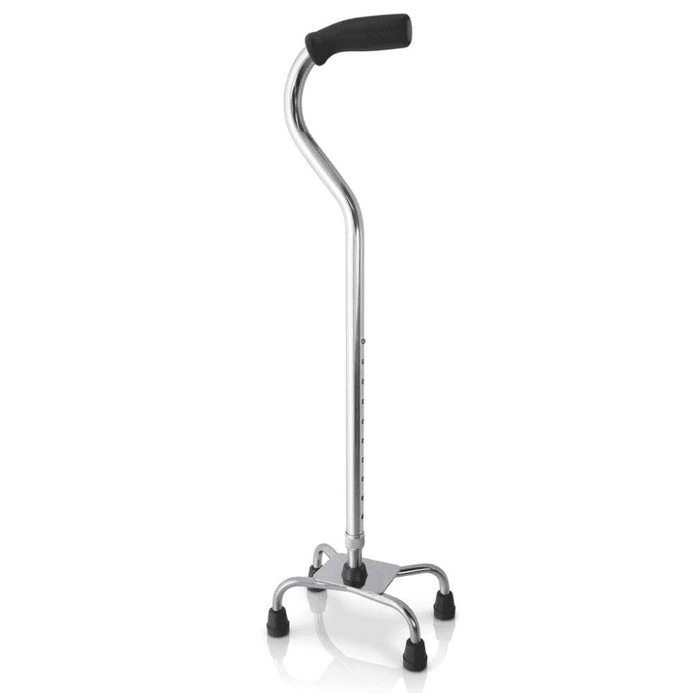 Small Tetrapod Walking Stick