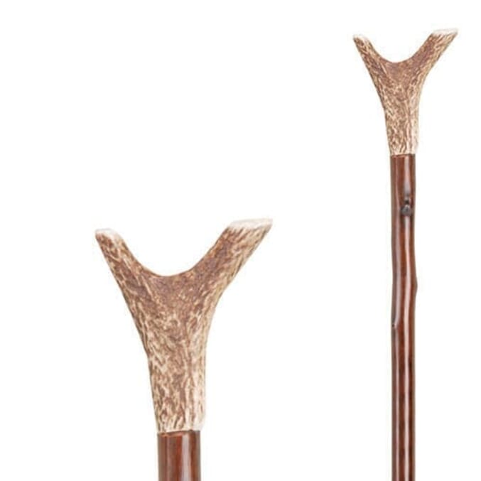 staghorn thumb nordic walking stick