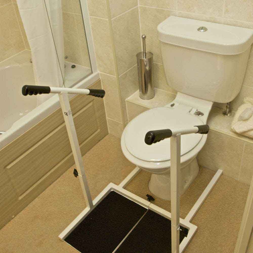 stand easy standing aid for toilet