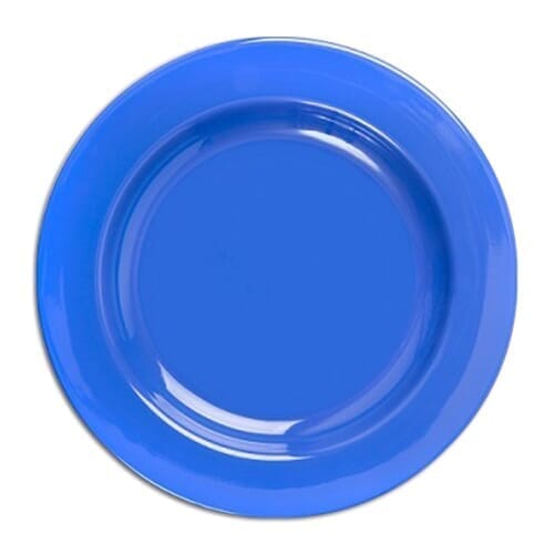 steep sided melamine plate blue