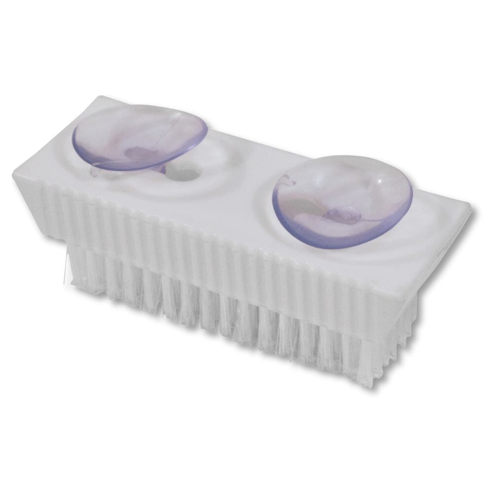suction brush for nails or dentures suction cups