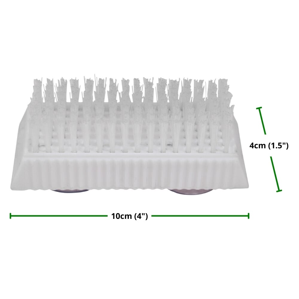 suction cup cleaning brush dimensions