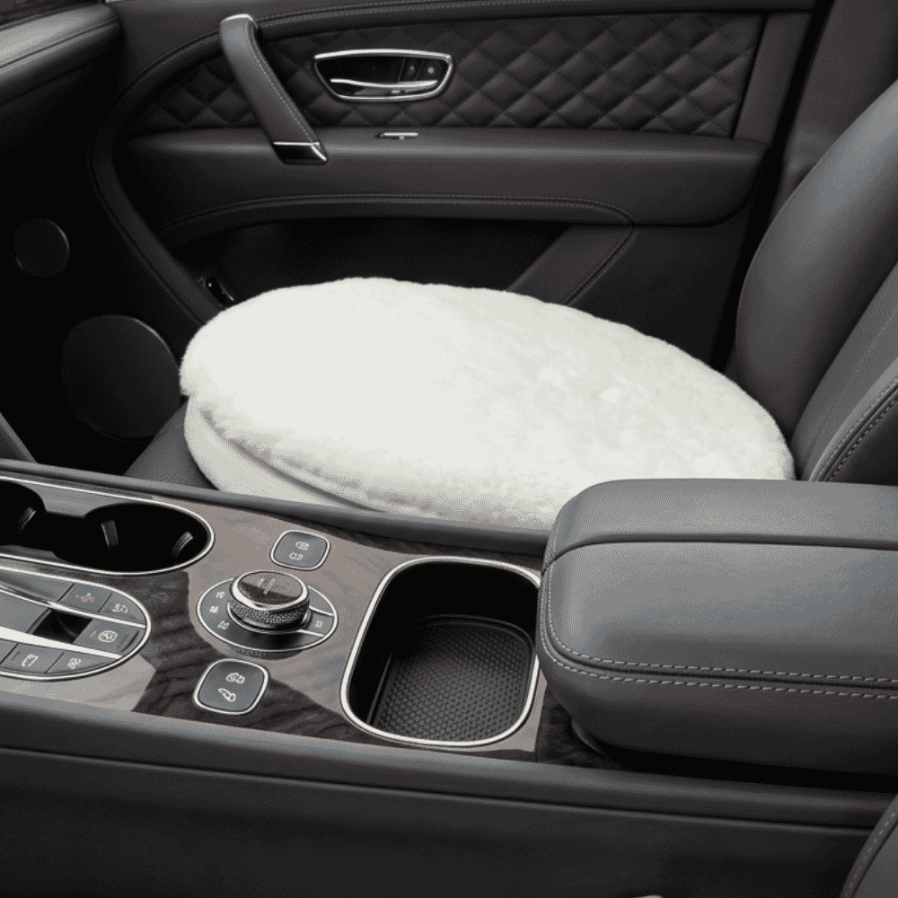 swivel car seat in situ