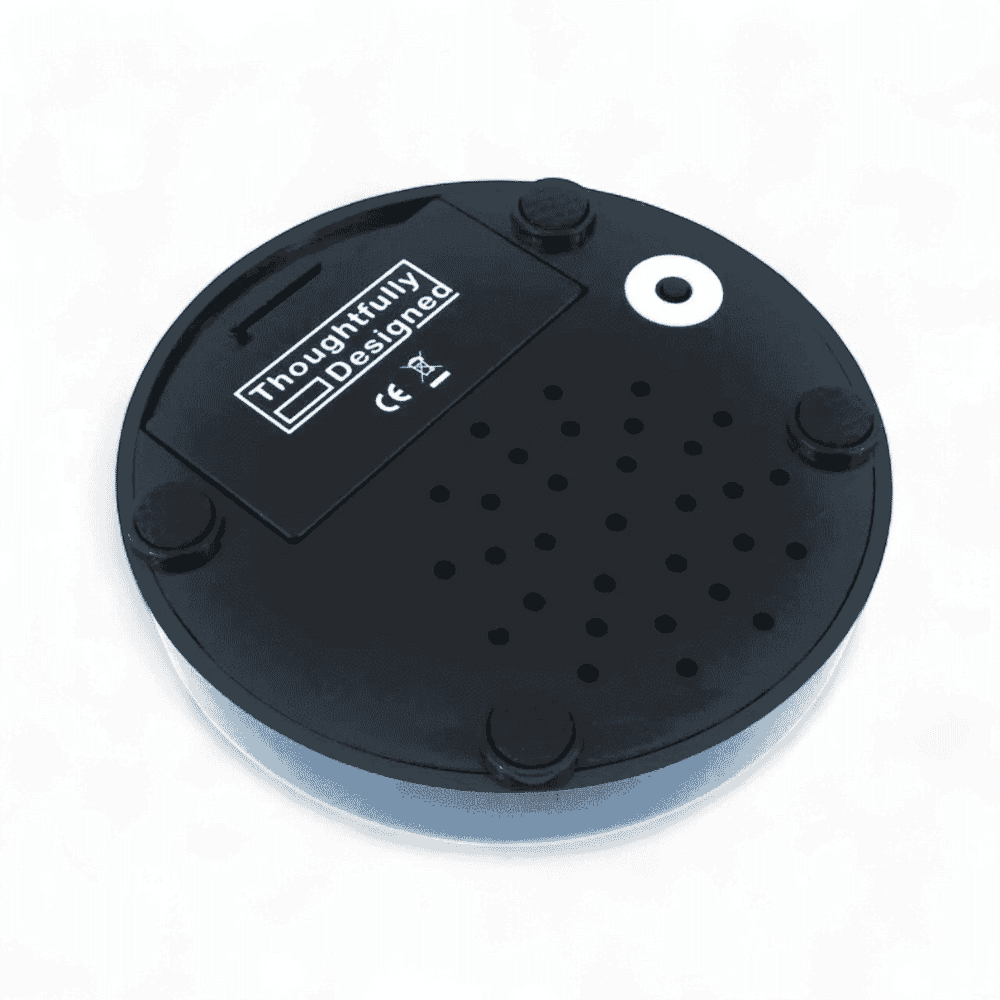 talking button clock back