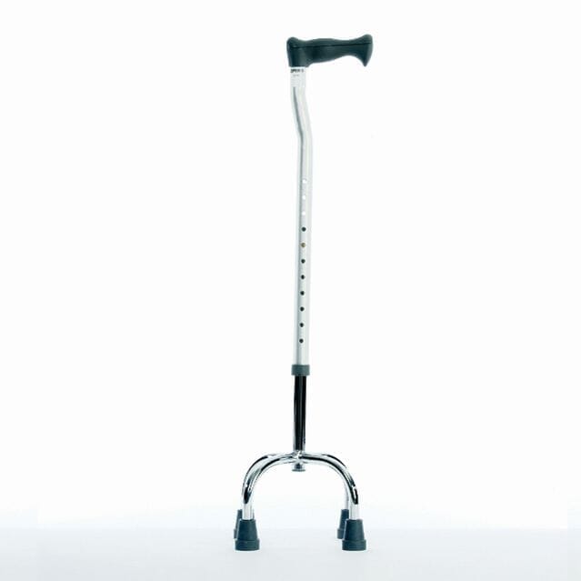 Tetrapod Walking Stick