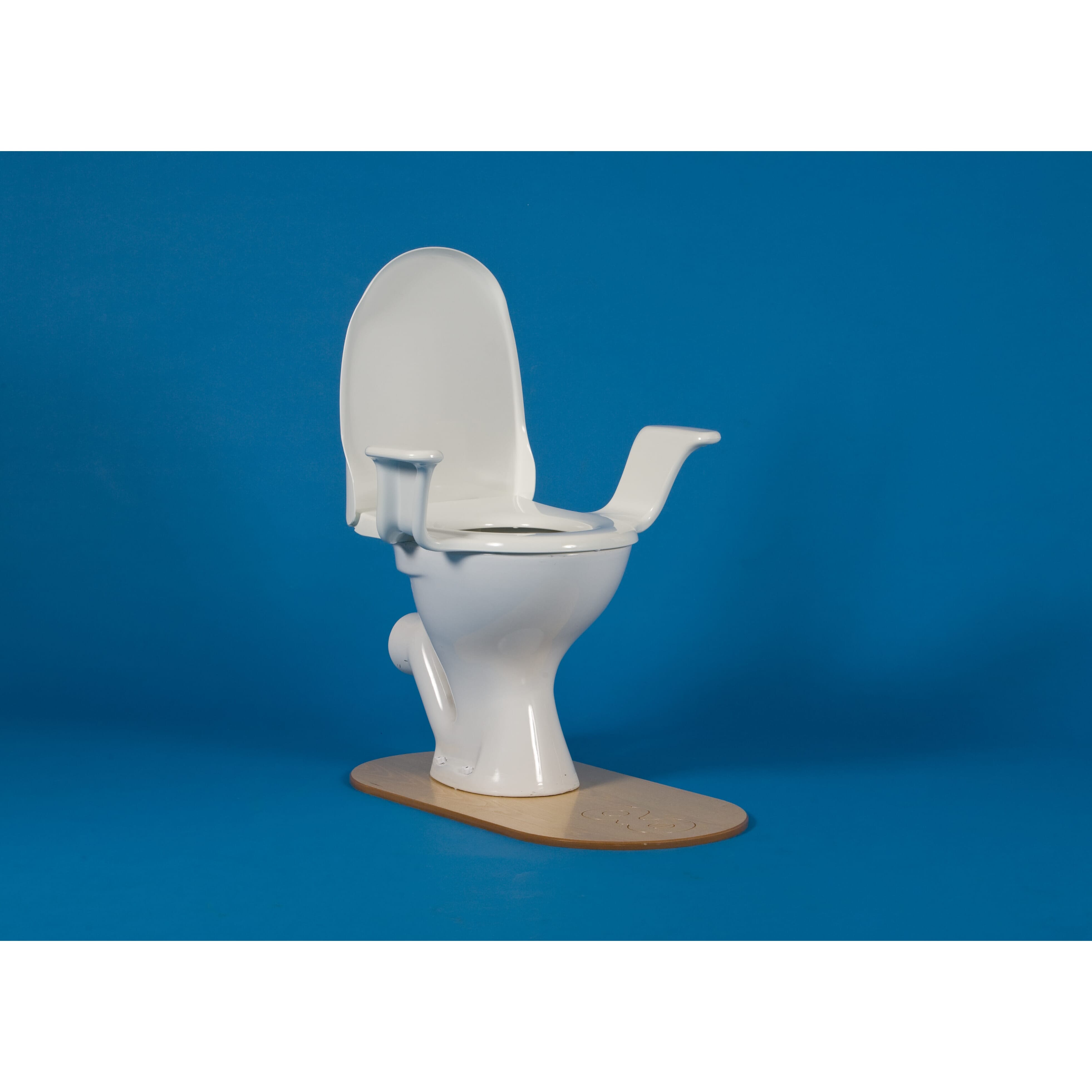 the nobi toilet seat with arm rests 2