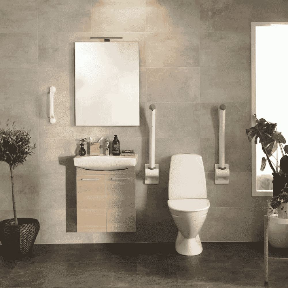 toilet arm support rex in bathroom