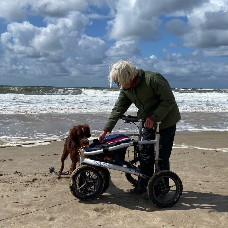 trionic veloped sport 12er on the beach