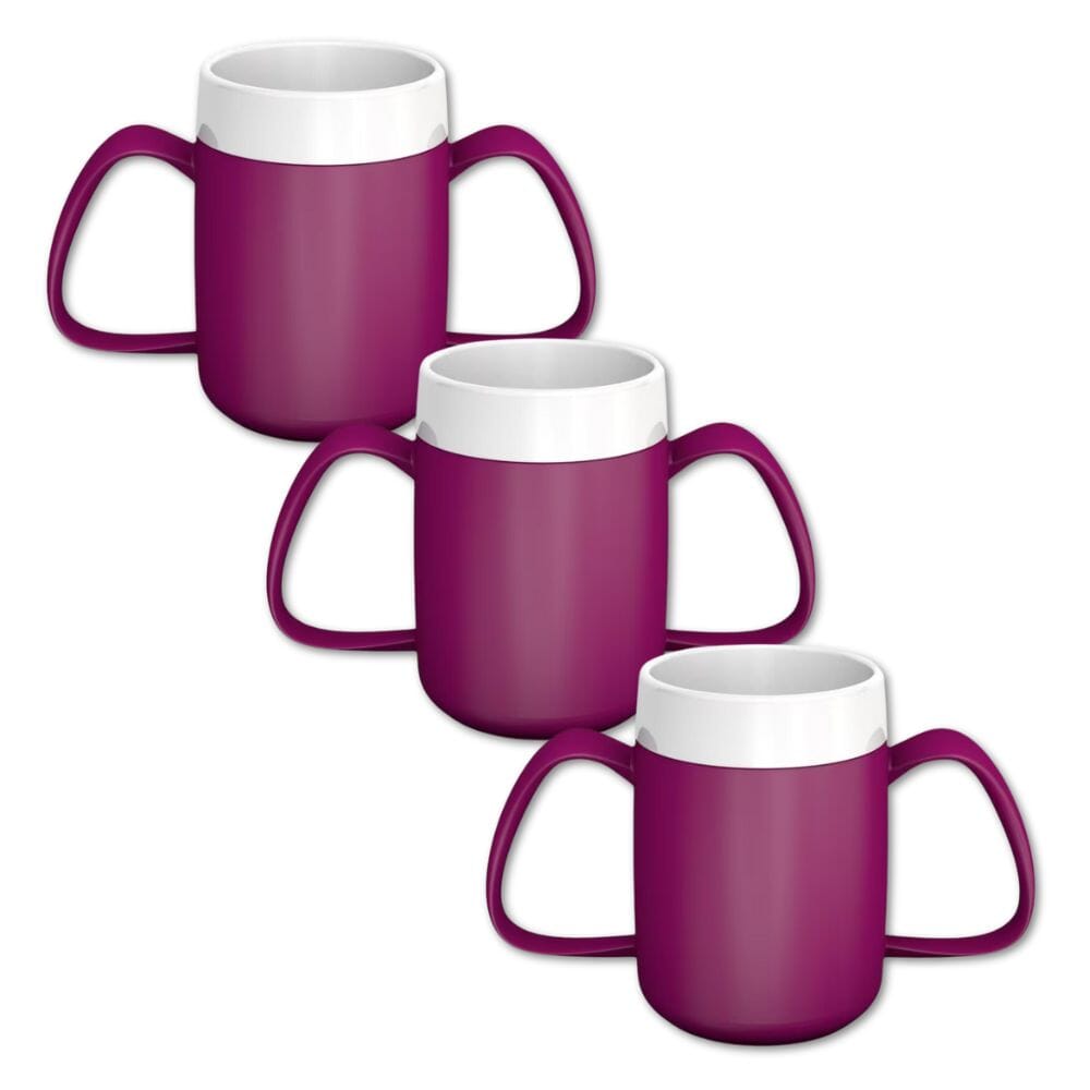 two handled mug with internal cone blackberry pack of 3