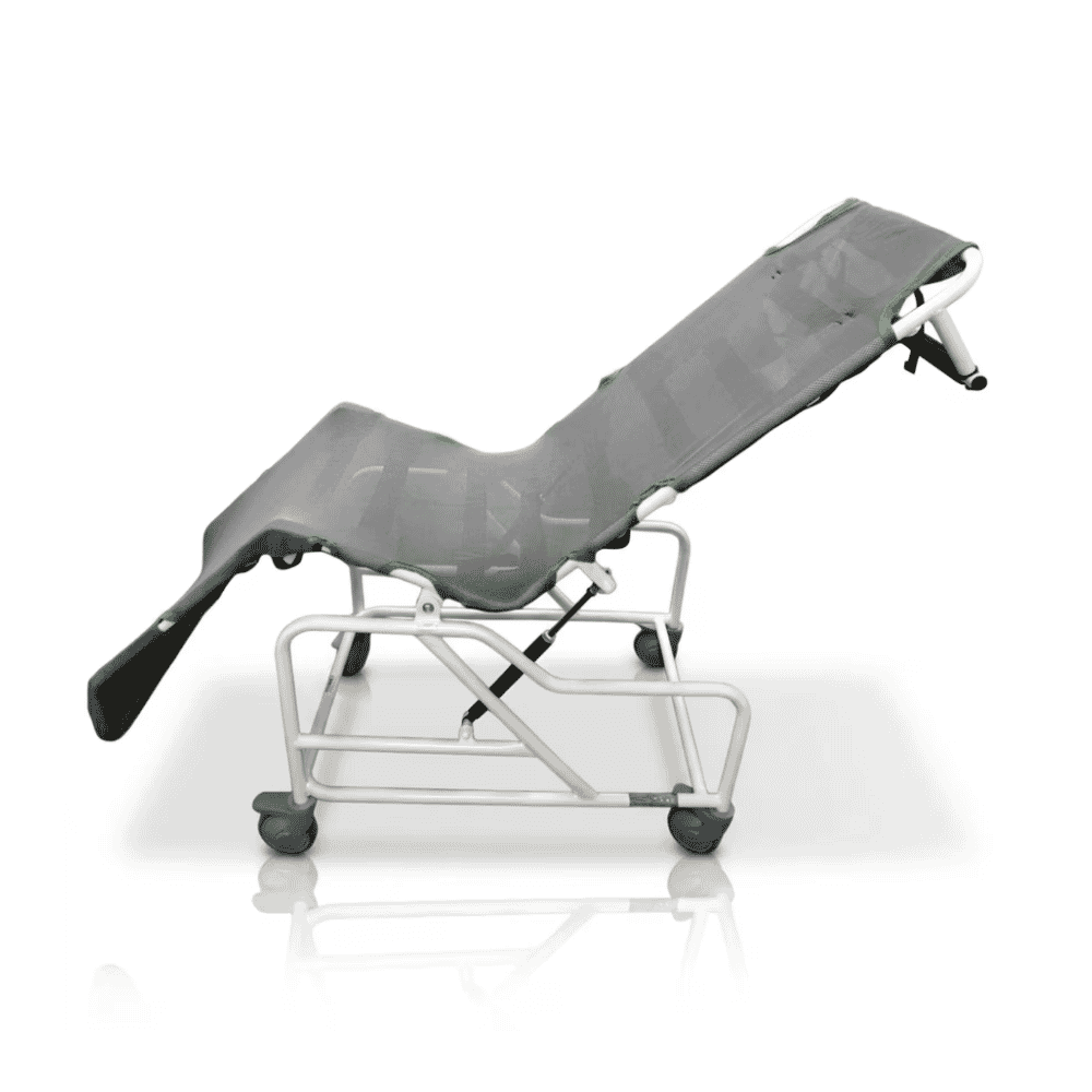 Washington Tilt in Space Shower Cradle